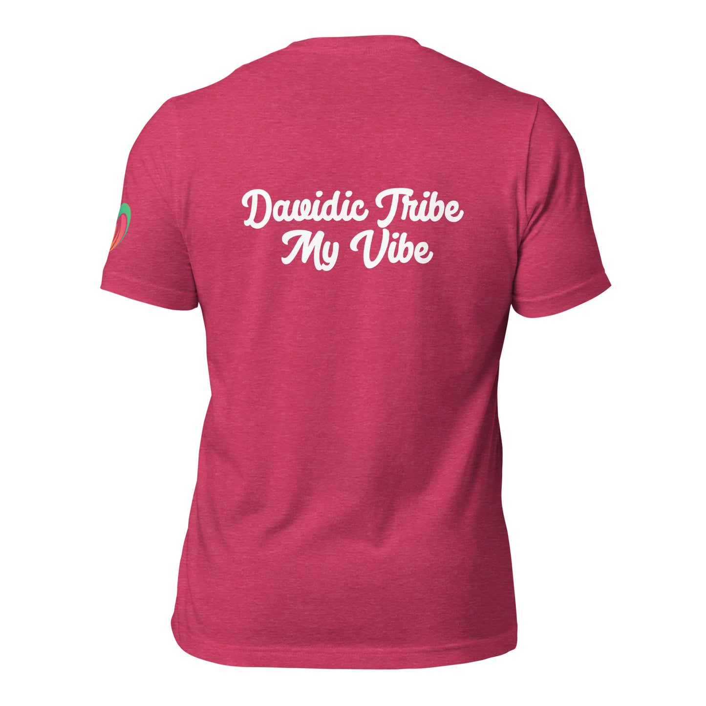 Davidic Tribe Abide Unisex t-shirt